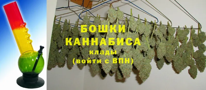 Шишки марихуана THC 21%  наркотики  Новозыбков 